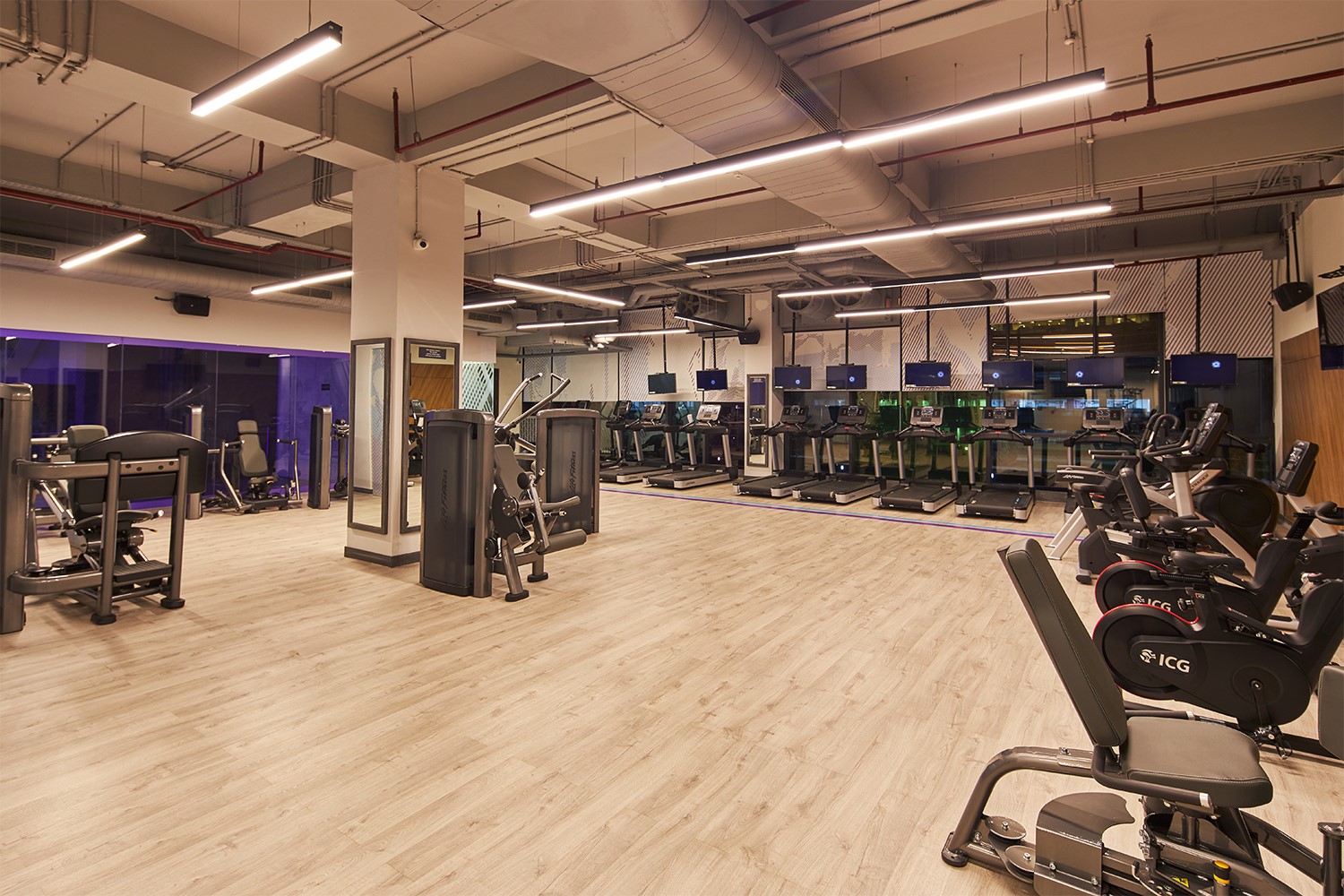 Gym and fitness area with hardwood floors and exercise machines