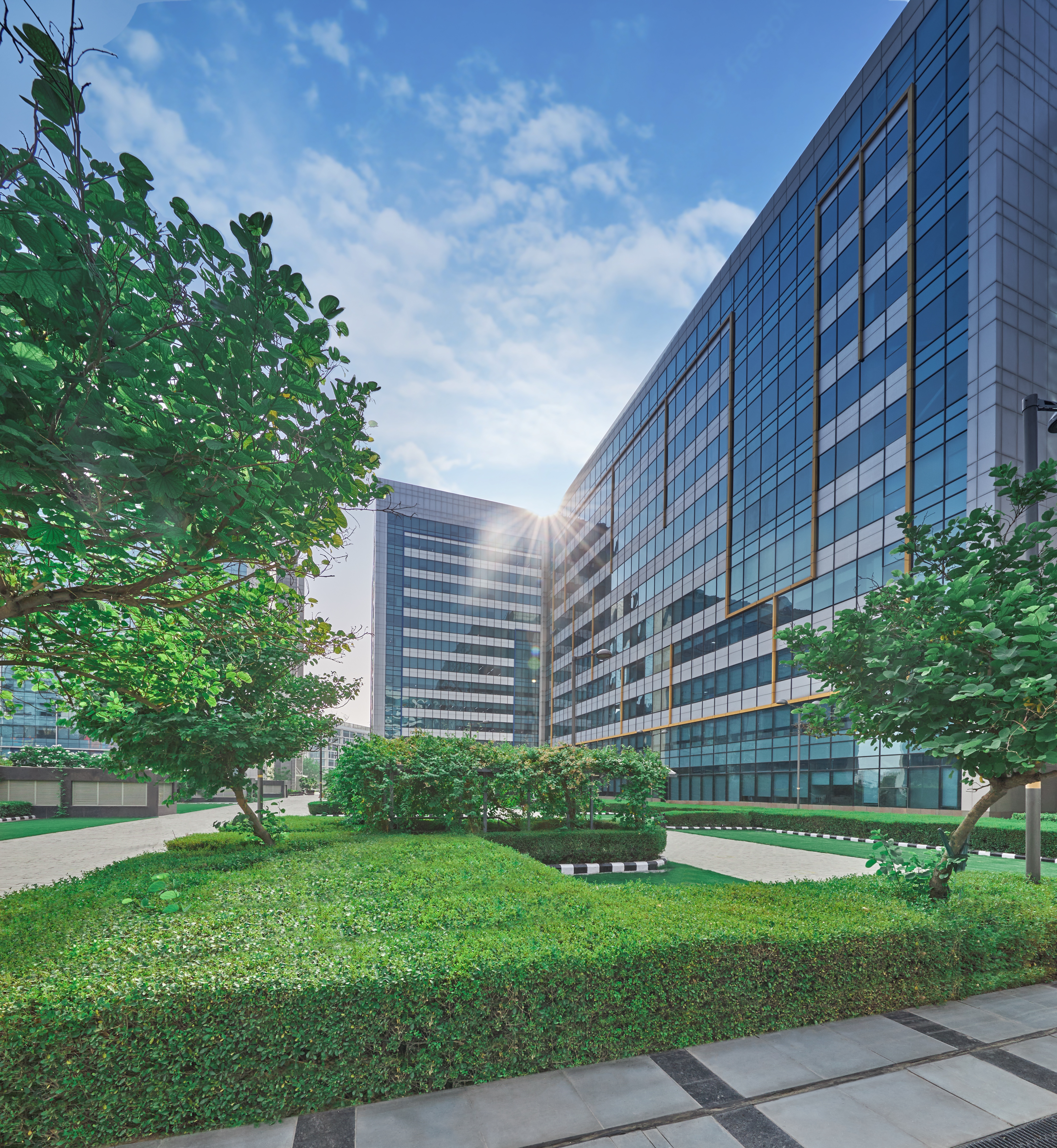 Exterior view of office buildings with greenery