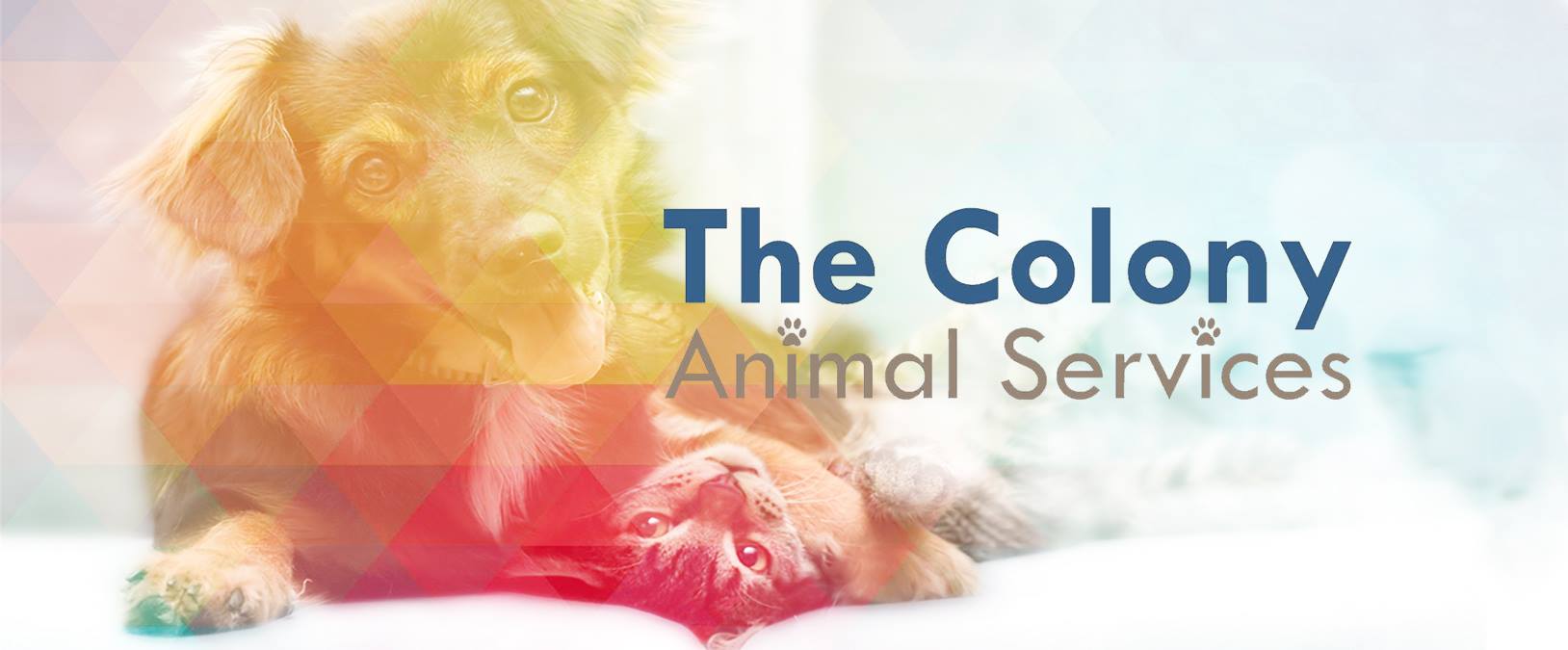 The Colony Animal Services Pet Adoption Day