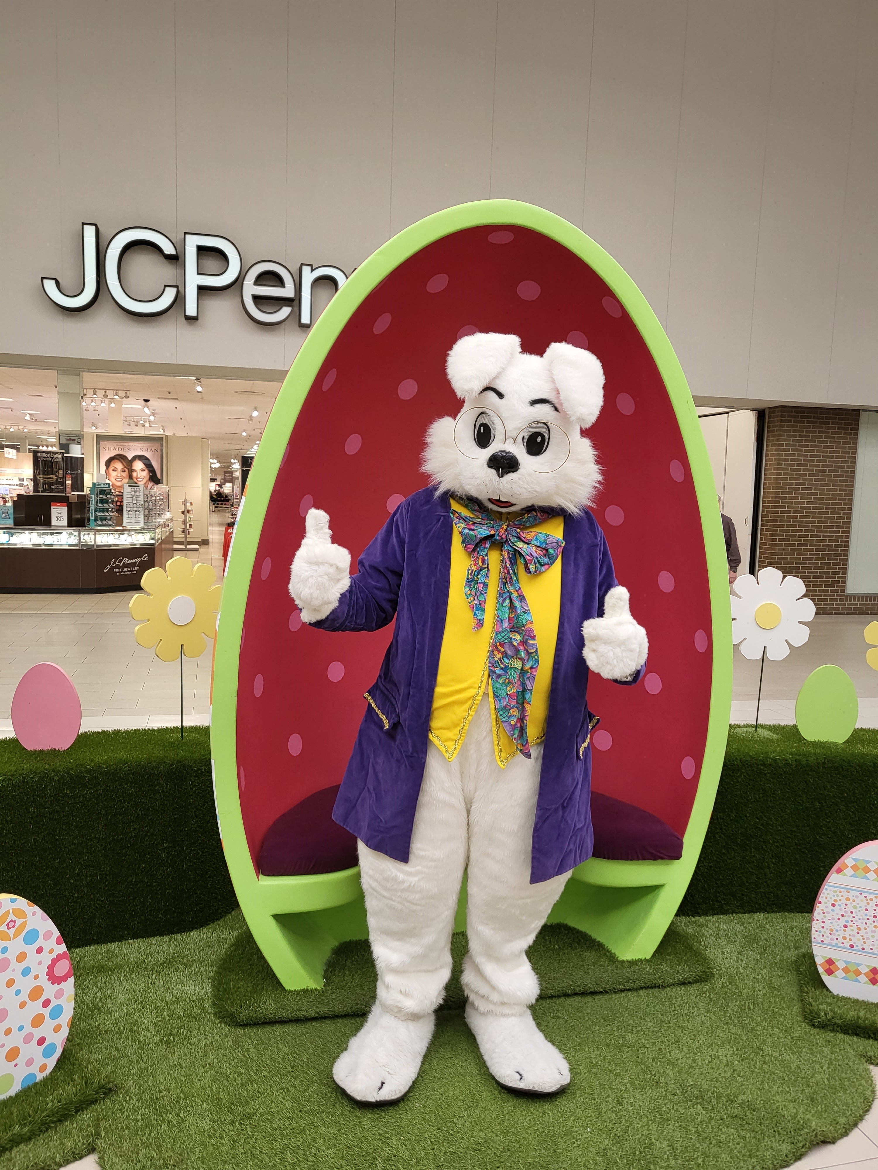 Bunny is Here!!!