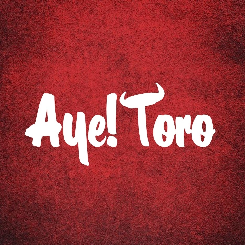 Aye! Toro Logo